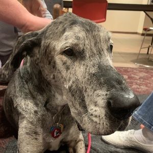 Meet your Posher, Serena